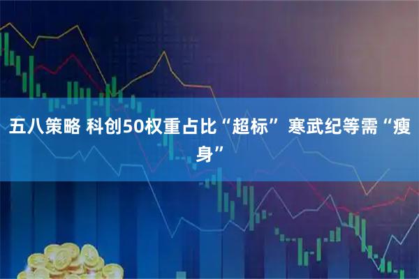 五八策略 科创50权重占比“超标” 寒武纪等需“瘦身”