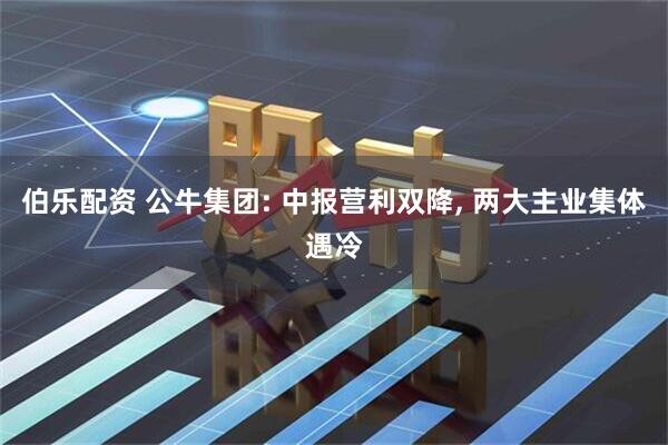伯乐配资 公牛集团: 中报营利双降, 两大主业集体遇冷