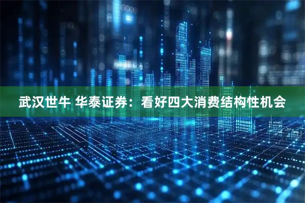 武汉世牛 华泰证券：看好四大消费结构性机会